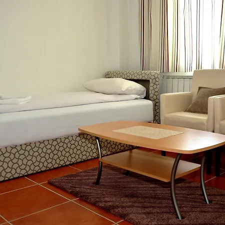 Motel Rudar 3*